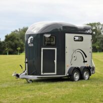 VAN 2 PLACES CHEVAL LIBERTE GOLD 3